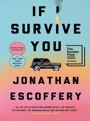 If I Survive You - ebook